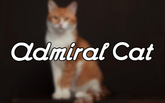 Admiral Cat: The Vintage Handwritten Font That Brings Creative Projects to Life