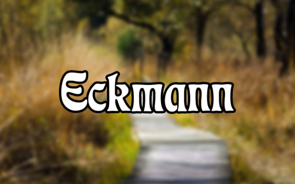 Eckmann: A Stunning Serif for Creative Design
