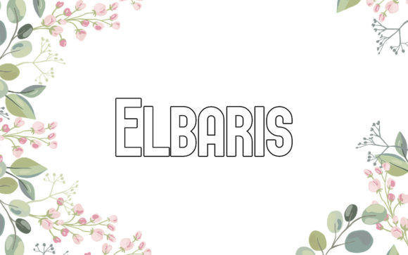 Elbaris: A Creative Sans Serif Font for Modern Designs