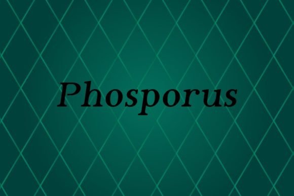 Phosporus is the sans serif typeface that effortlessly adapts to any creative vision, making it a go-to choice for designers seeking both style and substance. Created by Apostrophic labs, this font collection is a classic in the truest sense, offering a range of styles that cater to diverse aesthetic preferences. Whether you're crafting a sleek logo or designing an engaging social media post, Phosporus provides the visual foundation to make your work look polished and intentional.